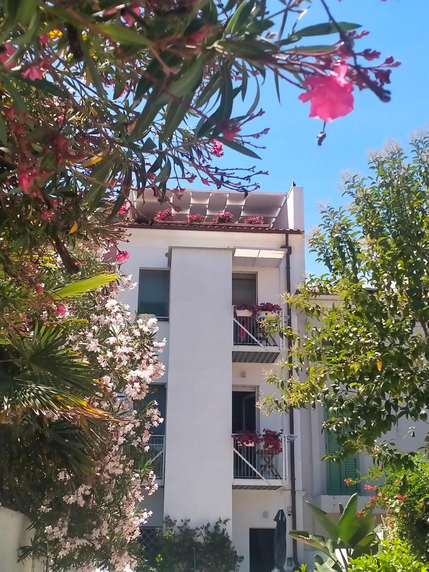 B&B Previsto Sole Civitanova Marche Exterior photo